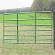 Painted Steel Gates